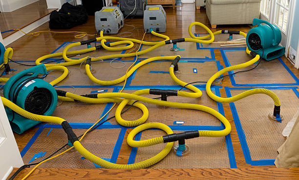 Professional Storm Water Damage Restoration technician working in Danville, IL